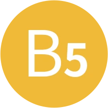 維他命原 B5