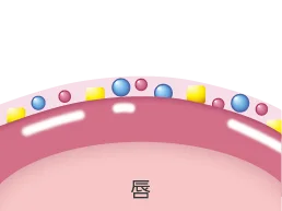 塗抹後：光澤膜完整貼合雙唇