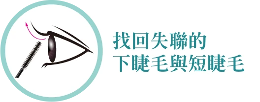  找回失聯的下睫毛與短睫毛